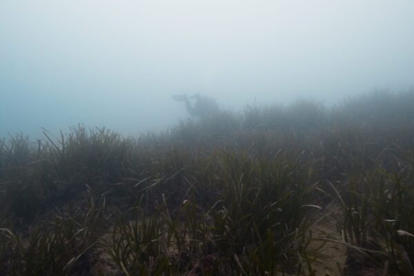 Still 2025-02-24 152016_1.1.1