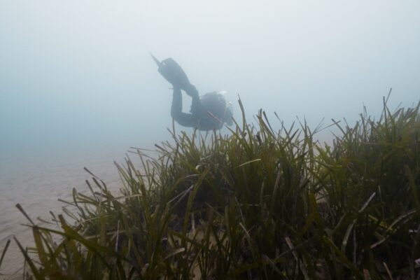 Still 2025-02-24 152016_1.1.3