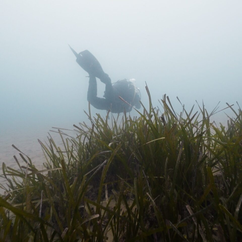 Still 2025-02-24 152016_1.1.3 Still 2025-02-24 152016_1.1.3