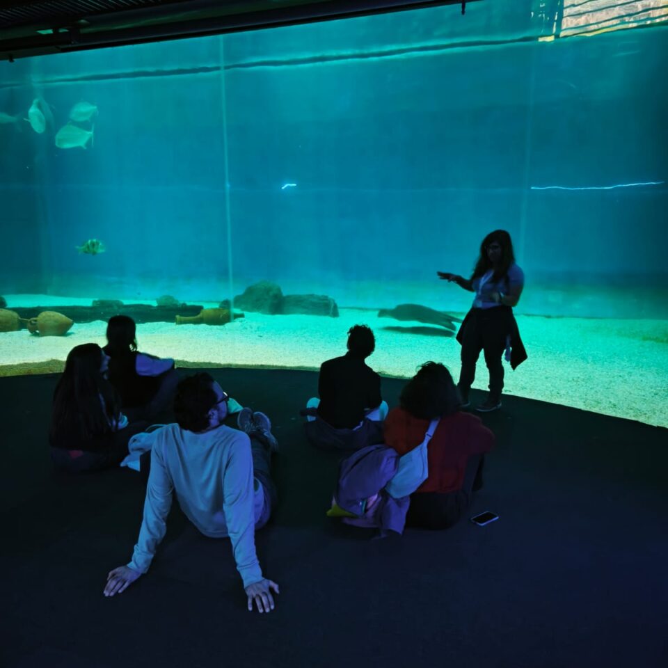 WhatsApp Image 2025-12-10 at 15.17.29 WhatsApp Image 2025-12-10 at 15.17.29