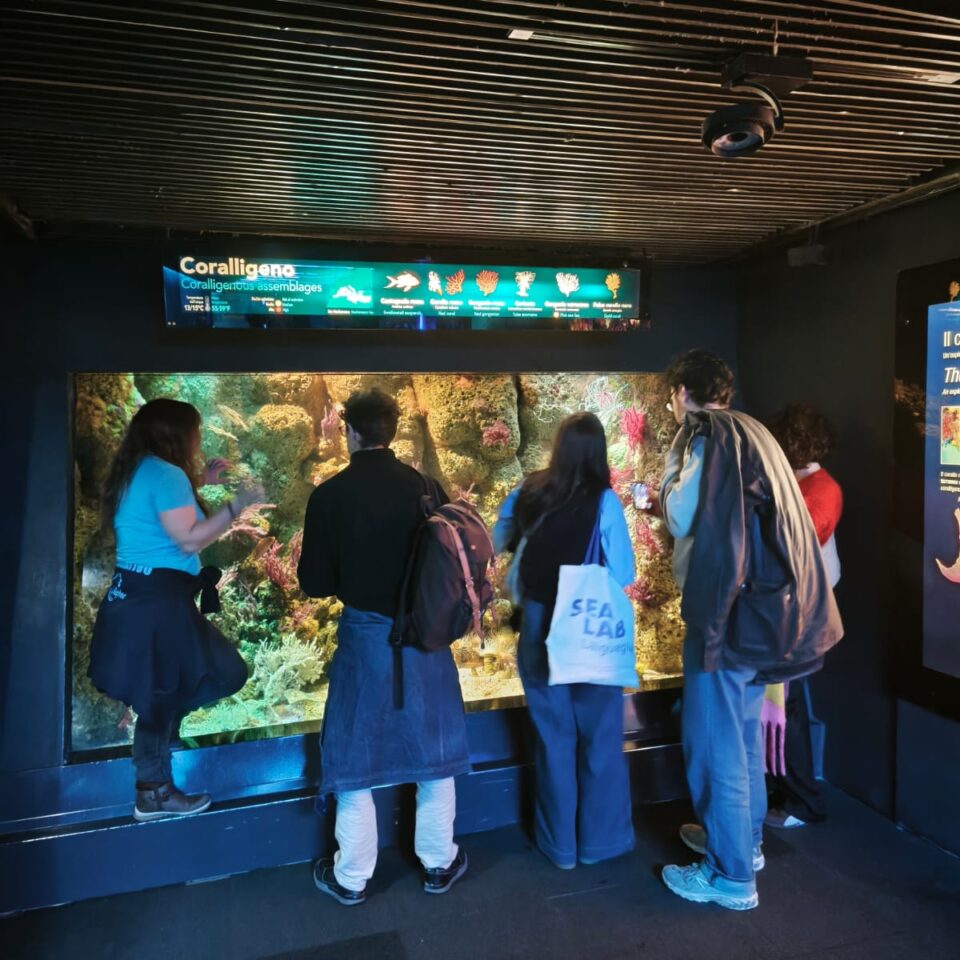 WhatsApp Image 2025-12-10 at 15.30.56 WhatsApp Image 2025-12-10 at 15.30.56